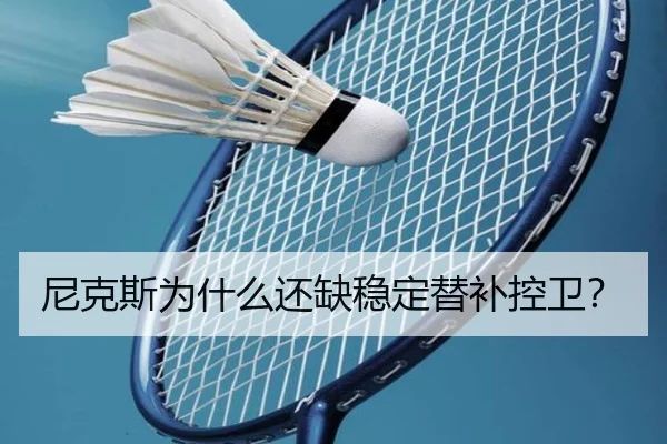 尼克斯为什么还缺稳定替补控卫？